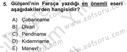 XVI. Yüzyıl Türk Edebiyatı Dersi 2022 - 2023 Yılı Yaz Okulu Sınav Soruları 5. Soru