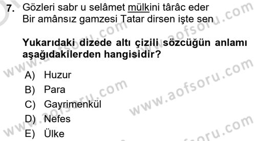XVI. Yüzyıl Türk Edebiyatı Dersi 2022 - 2023 Yılı Yaz Okulu Sınav Soruları 7. Soru