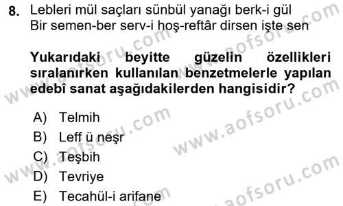 XVI. Yüzyıl Türk Edebiyatı Dersi 2022 - 2023 Yılı Yaz Okulu Sınav Soruları 8. Soru