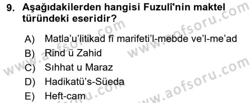 XVI. Yüzyıl Türk Edebiyatı Dersi 2022 - 2023 Yılı Yaz Okulu Sınav Soruları 9. Soru