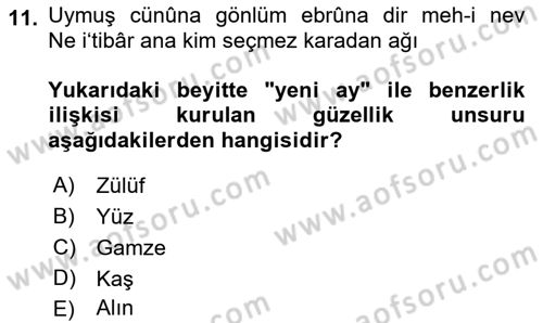 XVI. Yüzyıl Türk Edebiyatı Dersi 2023 - 2024 Yılı (Vize) Ara Sınav Soruları 11. Soru