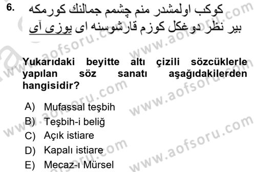 XVI. Yüzyıl Türk Edebiyatı Dersi 2023 - 2024 Yılı (Vize) Ara Sınav Soruları 6. Soru