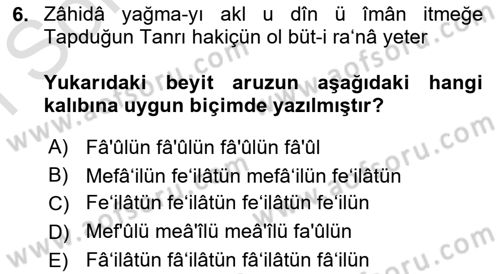 XVI. Yüzyıl Türk Edebiyatı Dersi 2023 - 2024 Yılı (Final) Dönem Sonu Sınav Soruları 6. Soru