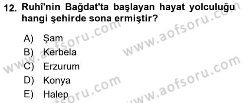 XVI. Yüzyıl Türk Edebiyatı Dersi 2023 - 2024 Yılı Yaz Okulu Sınav Soruları 12. Soru