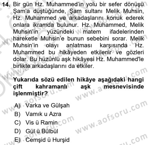 XVI. Yüzyıl Türk Edebiyatı Dersi 2023 - 2024 Yılı Yaz Okulu Sınav Soruları 14. Soru