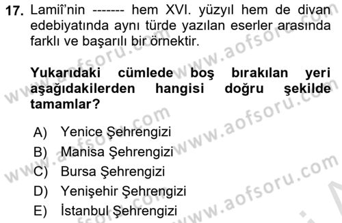 XVI. Yüzyıl Türk Edebiyatı Dersi 2023 - 2024 Yılı Yaz Okulu Sınav Soruları 17. Soru