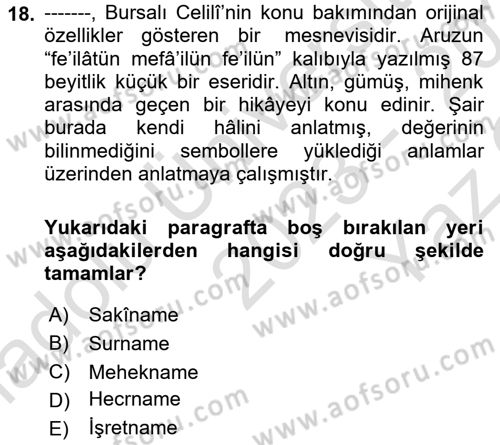 XVI. Yüzyıl Türk Edebiyatı Dersi 2023 - 2024 Yılı Yaz Okulu Sınav Soruları 18. Soru