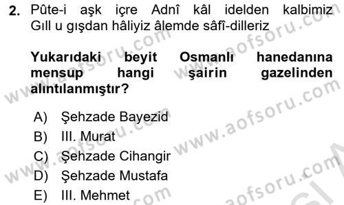 XVI. Yüzyıl Türk Edebiyatı Dersi 2023 - 2024 Yılı Yaz Okulu Sınav Soruları 2. Soru