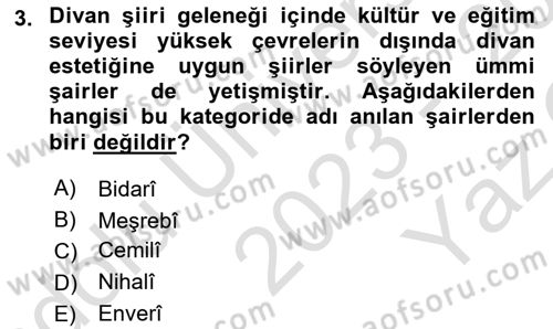 XVI. Yüzyıl Türk Edebiyatı Dersi 2023 - 2024 Yılı Yaz Okulu Sınav Soruları 3. Soru