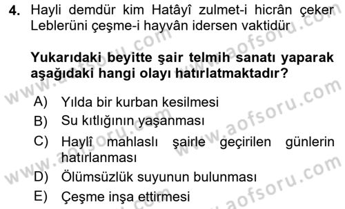 XVI. Yüzyıl Türk Edebiyatı Dersi 2023 - 2024 Yılı Yaz Okulu Sınav Soruları 4. Soru