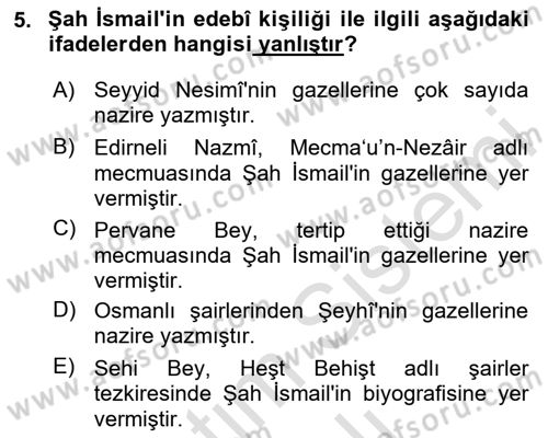 XVI. Yüzyıl Türk Edebiyatı Dersi 2023 - 2024 Yılı Yaz Okulu Sınav Soruları 5. Soru