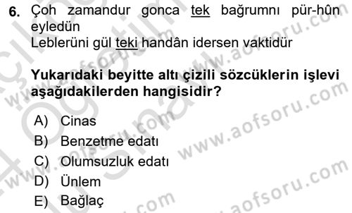 XVI. Yüzyıl Türk Edebiyatı Dersi 2023 - 2024 Yılı Yaz Okulu Sınav Soruları 6. Soru