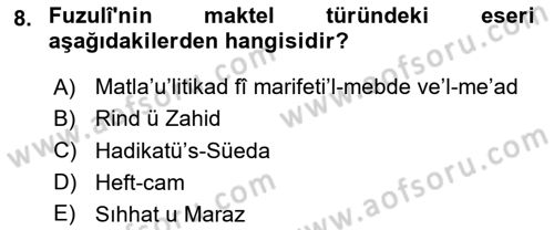 XVI. Yüzyıl Türk Edebiyatı Dersi 2023 - 2024 Yılı Yaz Okulu Sınav Soruları 8. Soru