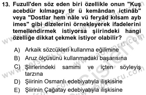 XVI. Yüzyıl Türk Edebiyatı Dersi 2024 - 2025 Yılı (Vize) Ara Sınav Soruları 13. Soru