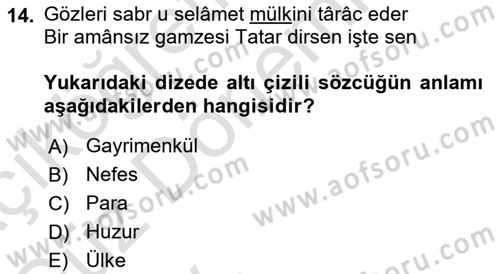 XVI. Yüzyıl Türk Edebiyatı Dersi 2024 - 2025 Yılı (Vize) Ara Sınav Soruları 14. Soru