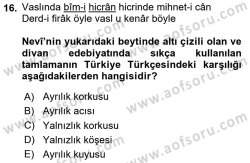 XVI. Yüzyıl Türk Edebiyatı Dersi 2024 - 2025 Yılı (Vize) Ara Sınav Soruları 16. Soru