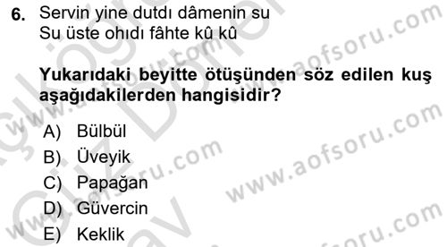 XVI. Yüzyıl Türk Edebiyatı Dersi Ara Sınavı Deneme Sınav Soruları 6. Soru