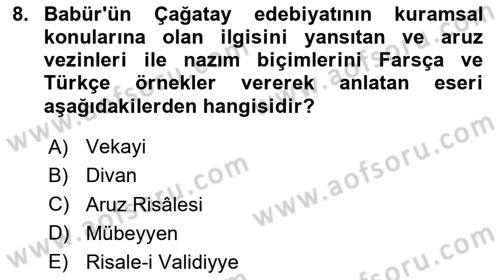 XVI. Yüzyıl Türk Edebiyatı Dersi 2024 - 2025 Yılı (Vize) Ara Sınav Soruları 8. Soru