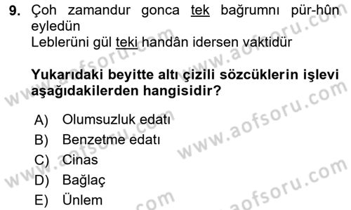XVI. Yüzyıl Türk Edebiyatı Dersi 2024 - 2025 Yılı (Vize) Ara Sınav Soruları 9. Soru