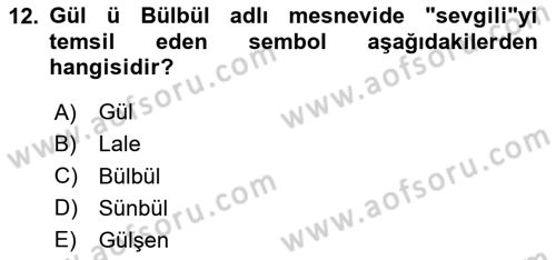 XVI. Yüzyıl Türk Edebiyatı Dersi 2024 - 2025 Yılı (Final) Dönem Sonu Sınav Soruları 12. Soru