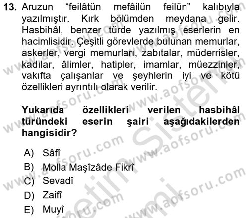 XVI. Yüzyıl Türk Edebiyatı Dersi 2024 - 2025 Yılı (Final) Dönem Sonu Sınav Soruları 13. Soru
