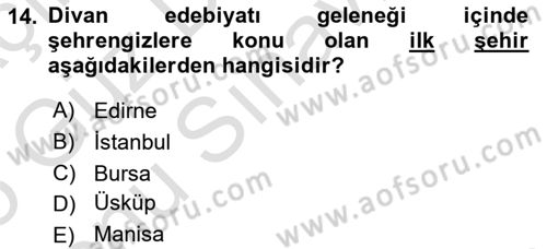 XVI. Yüzyıl Türk Edebiyatı Dersi 2024 - 2025 Yılı (Final) Dönem Sonu Sınav Soruları 14. Soru