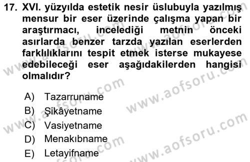 XVI. Yüzyıl Türk Edebiyatı Dersi 2024 - 2025 Yılı (Final) Dönem Sonu Sınav Soruları 17. Soru