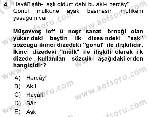 XVI. Yüzyıl Türk Edebiyatı Dersi 2024 - 2025 Yılı (Final) Dönem Sonu Sınav Soruları 4. Soru