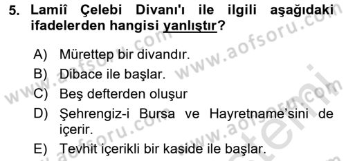 XVI. Yüzyıl Türk Edebiyatı Dersi 2024 - 2025 Yılı (Final) Dönem Sonu Sınav Soruları 5. Soru