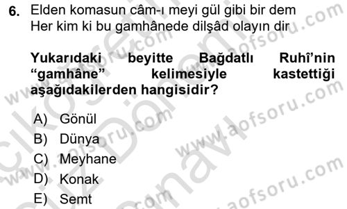 XVI. Yüzyıl Türk Edebiyatı Dersi 2024 - 2025 Yılı (Final) Dönem Sonu Sınav Soruları 6. Soru
