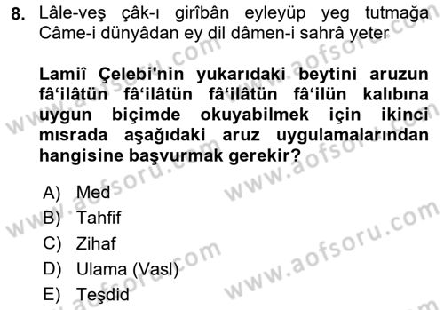 XVI. Yüzyıl Türk Edebiyatı Dersi 2024 - 2025 Yılı (Final) Dönem Sonu Sınav Soruları 8. Soru
