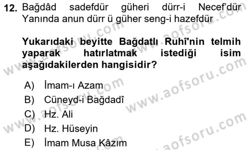 XVI. Yüzyıl Türk Edebiyatı Dersi 2024 - 2025 Yılı Yaz Okulu Sınav Soruları 12. Soru