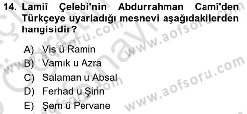 XVI. Yüzyıl Türk Edebiyatı Dersi 2024 - 2025 Yılı Yaz Okulu Sınav Soruları 14. Soru