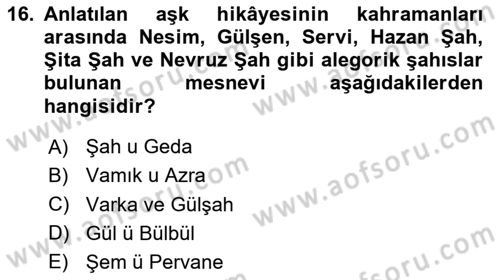 XVI. Yüzyıl Türk Edebiyatı Dersi 2024 - 2025 Yılı Yaz Okulu Sınav Soruları 16. Soru