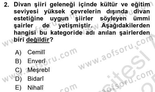 XVI. Yüzyıl Türk Edebiyatı Dersi 2024 - 2025 Yılı Yaz Okulu Sınav Soruları 2. Soru