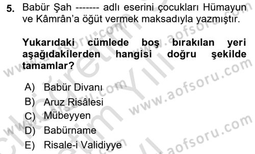 XVI. Yüzyıl Türk Edebiyatı Dersi 2024 - 2025 Yılı Yaz Okulu Sınav Soruları 5. Soru
