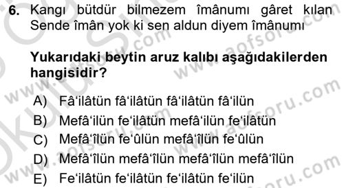 XVI. Yüzyıl Türk Edebiyatı Dersi Yaz Okulu Sınavı Deneme Sınav Soruları 6. Soru