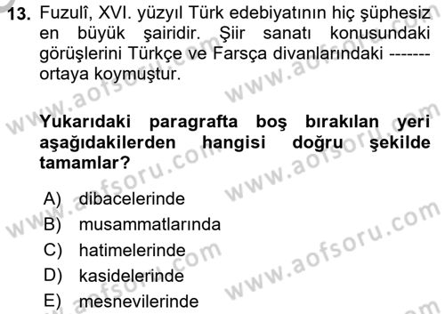 XVI. Yüzyıl Türk Edebiyatı Dersi 2025 - 2026 Yılı (Vize) Ara Sınav Soruları 13. Soru