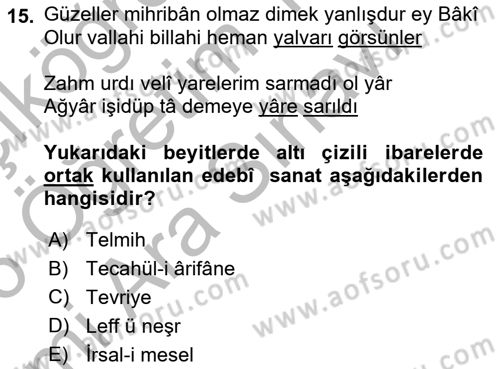 XVI. Yüzyıl Türk Edebiyatı Dersi 2025 - 2026 Yılı (Vize) Ara Sınav Soruları 15. Soru