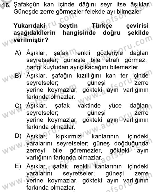 XVI. Yüzyıl Türk Edebiyatı Dersi 2025 - 2026 Yılı (Vize) Ara Sınav Soruları 16. Soru