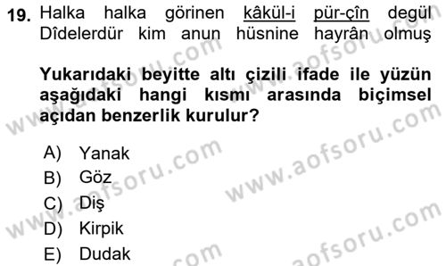 XVI. Yüzyıl Türk Edebiyatı Dersi 2025 - 2026 Yılı (Vize) Ara Sınav Soruları 19. Soru