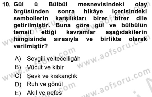 XVI. Yüzyıl Türk Edebiyatı Dersi 2025 - 2026 Yılı (Final) Dönem Sonu Sınav Soruları 10. Soru