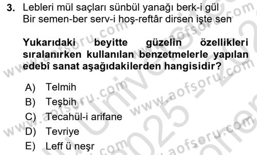 XVI. Yüzyıl Türk Edebiyatı Dersi 2025 - 2026 Yılı (Final) Dönem Sonu Sınav Soruları 3. Soru