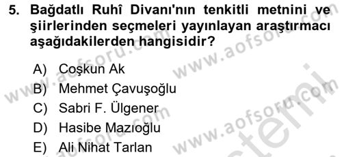 XVI. Yüzyıl Türk Edebiyatı Dersi 2025 - 2026 Yılı (Final) Dönem Sonu Sınav Soruları 5. Soru