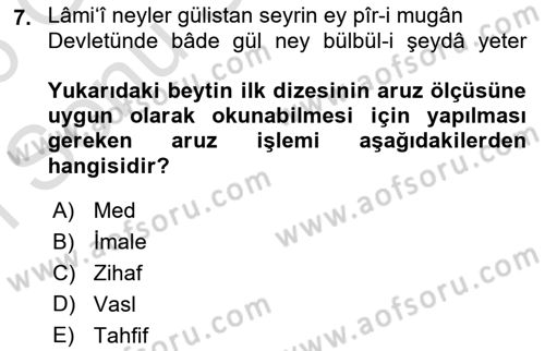 XVI. Yüzyıl Türk Edebiyatı Dersi 2025 - 2026 Yılı (Final) Dönem Sonu Sınav Soruları 7. Soru