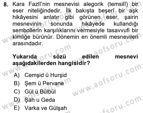 XVI. Yüzyıl Türk Edebiyatı Dersi 2025 - 2026 Yılı (Final) Dönem Sonu Sınav Soruları 8. Soru
