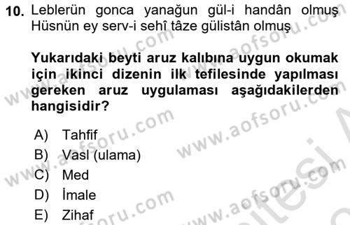 XVI. Yüzyıl Türk Edebiyatı Dersi 2025 - 2026 Yılı Yaz Okulu Sınav Soruları 10. Soru