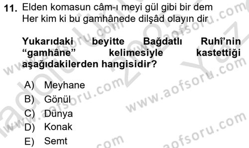 XVI. Yüzyıl Türk Edebiyatı Dersi 2025 - 2026 Yılı Yaz Okulu Sınav Soruları 11. Soru
