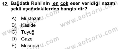 XVI. Yüzyıl Türk Edebiyatı Dersi 2025 - 2026 Yılı Yaz Okulu Sınav Soruları 12. Soru
