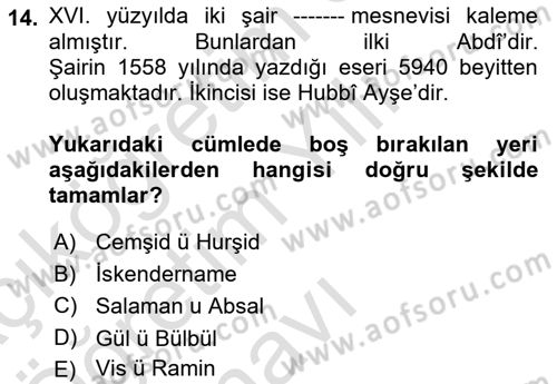 XVI. Yüzyıl Türk Edebiyatı Dersi 2025 - 2026 Yılı Yaz Okulu Sınav Soruları 14. Soru